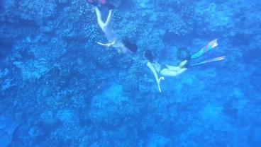 “欢欢喜喜过大年”2024年全国春节文化和旅游消费月主场活动在哈尔滨启动 杜江韩圣健张起翔出席并致辞